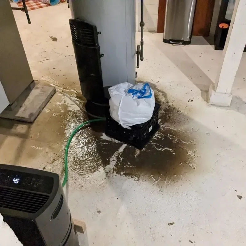 Sewage Backup Cleanup Service in Canyon Day, AZ